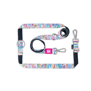 Bunt gestreifte Hundeleinen- und Geschirr-Set mit Metallclips und einem pinken Anhänger mit der Aufschrift „Max & Molly“.
