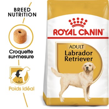 Labrador Retriever Adulte Croquettes Chien 3 kg
