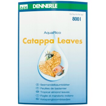 Catappa Leaves 10Stück