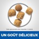 Cinq morceaux de croquettes sur un fond clair, taille 7 x 6,5 mm, avec le texte "UN GOÛT DÉLICIEUX" et "Taille approximative des croquettes."
