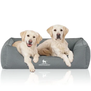 Zwei Golden Retriever Welpen sitzen auf einem grauen Hundebett, auf dessen Vorderseite der Markenname "KNUFFELWUFF" sichtbar ist.