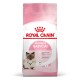 Emballage de nourriture sèche pour chats Royal Canin Mother & Babycat, présentant une mère chat et un chaton, avec un texte mettant en avant le soutien à la santé pour les deux.