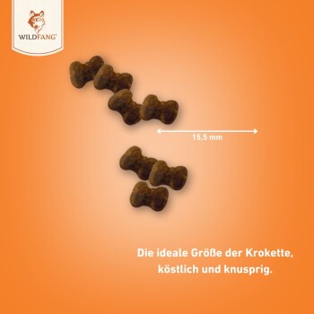 Kibble-Stücke in Form von Knochen, 15,5 mm groß, auf einem orangefarbenen Hintergrund mit dem Text: 'Die ideale Größe der Krokette, köstlich und knusprig.'