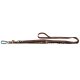 Braune Nylon-Hundeleine mit Handschlaufe, Metallkarabiner, orangefarbenem Akzent und Bungee-Stoßdämpfer.