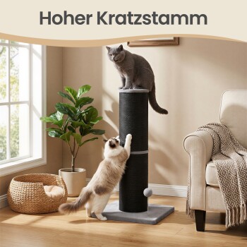 Zwei Katzen auf einem hohen schwarzen Kratzstamm im Wohnzimmer, eine graue Katze oben, eine cremefarbene kratzt; sichtbarer Text 'Hoher Kratzstamm'.