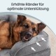 Deutscher Text ‚Erhöhte Ränder für optimale Unterstützung‘ über einem Hund, der in einem grauen Randbett ruht, mit weißen Pfeilen
