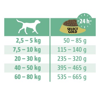 Fütterungsleitfaden für Hundefutter, der Gewichtsspannen (2,5-80 kg) und entsprechende Tagesmengen (50-665 g) für Select Gold zeigt.