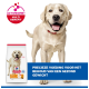 Gele Labrador met Hill's hondenvoerzak, ActivBiome+-logo; blauwe banner in het Nederlands over nauwkeurige voeding voor een gezond gewicht.