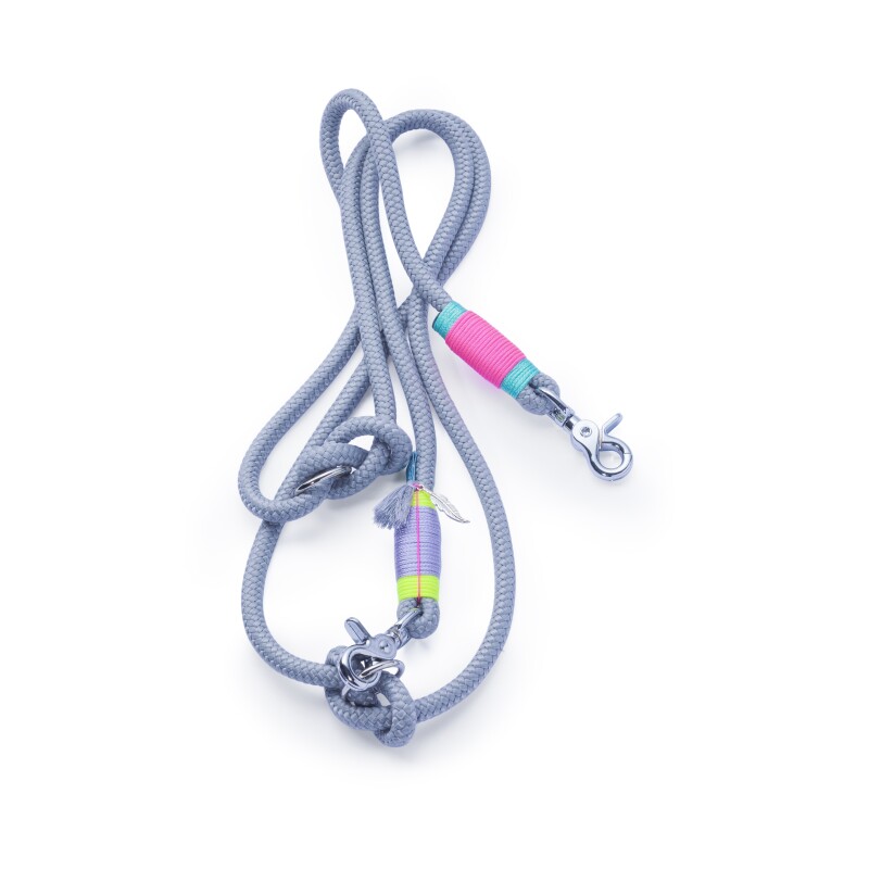 dietauwerkstatt Hundeleine Neon Grey