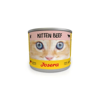 Eine Dose Josera Kitten Beef Katzenfutter mit einem Nahaufnahmebild eines Kätzchen mit blauen Augen, beschriftet mit 'KITTEN BEEF' und gekennzeichnet mit 'Getreidefrei.'