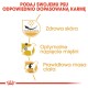 Infografika promująca dostosowaną karmę dla psów, z korzyściami: zdrowa skóra, optymalne napięcie mięśni i prawidłowa waga ciała, z tekstem w języku polskim.