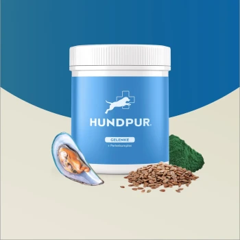 Behälter von Hundpur Gelenke Gelenkergänzungsmittel für Hunde, mit einem blauen Etikett, Muschelschale, Leinsamen und grünem Pulver.