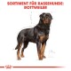 Illustration eines starken Rottweilers mit einem schwarz-braunen Fell, neben dem Text "SORTIMENT FÜR RASSEHUNDE: ROTTWEILER."