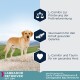 Labrador Retriever mit ernährungsphysiologischen Vorteilen: L-Carnitin zum Fettverbrennen, Glucosamin für die Gelenkgesundheit, L-Carnitin und Taurin für die Herzgesundheit.