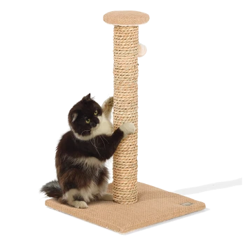 Eine flauschige schwarz-weiße Katze kratzt verspielt an einem hohen Kratzbaum aus Naturfasern mit einer runden Spitze und einem stabilen Fuß.