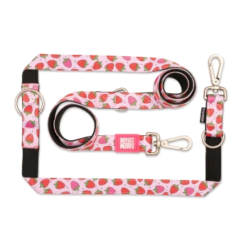 Rosa Hundeleinen- und Geschirrset mit Erdbeermuster und Metallverschlüssen, beschriftet mit „Max & Molly Urban Pets“.