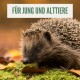 Eine Nahaufnahme eines Igels auf moosigem Boden, umgeben von Herbstblättern. Der Text darüber lautet "FÜR JUNG UND ALT TIERE".