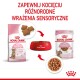 Opakowanie karmy Royal Canin Kitten Sterilised: różowa torba, czerwona miska z krokietami, tekst w języku polskim o doświadczeniach sensorycznych dla kociąt.