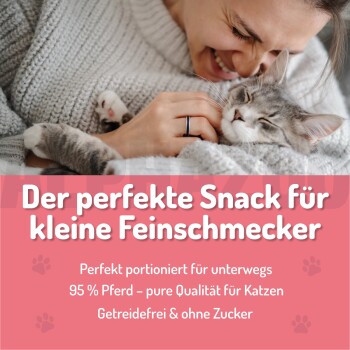 Schwarzer zylindrischer Tierfutterbehälter mit einem pinken Deckel, beschriftet mit "Huhn + Lachs" und "für Katzen" mit einem Pfotenabdruckdesign.