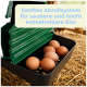 Grüne Eierbox mit Fach für 6 braune Eier; Text: 'Sanftes Abrollsystem für saubere und leicht entnehmbare Eier'.