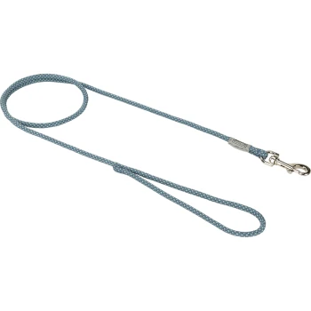 Blaue geflochtene Hundeleine mit einem silbernen Clip, mit einem Schlaufengriff für einfachen Halt.