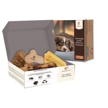 Eine Box mit Wildfang Hundeleckerlis mit einem knochenförmigen Snack, zwei anderen Leckerlis und einem Hundebild. Text: "Für einen guten Start mit Wildfang."