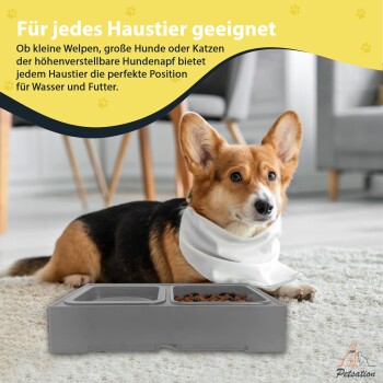 Ein Corgi in einem weißen Schal liegt neben einem grauen erhöhten Futterspender mit Hundefutter auf einem Teppich. Text: "Für jedes Haustier geeignet."