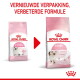 Twee roze Royal Canin Kitten-zakken (oud en nieuw) met rode pijl; zichtbare tekst 'VERNIEUWDE VERPAKKING, VERBETERDE FORMULE'.