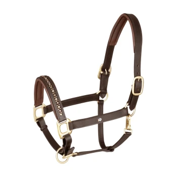 Braunes Leder-Haargeschirr für Haustiere mit goldenen Beschlägen und dekorativen Strasssteinen, entworfen für Komfort und Stil.