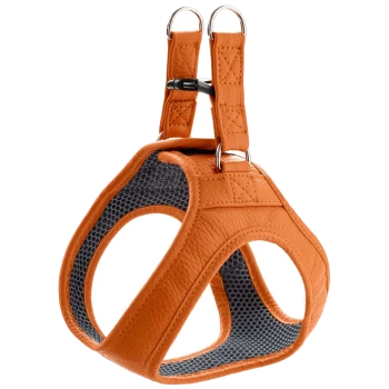 Oranges Haustiergeschirr mit gepolstertem Innenraum und verstellbaren Riemen, mit Metallringen zur Leinenbefestigung.