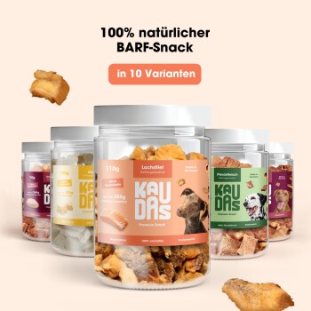 Haustierfutter in einer silbernen Schüssel mit herausfallenden Kroketten, spritzendem Wasser und fliegenden Fleischstücken, mit Text, der Hydration für Geschmack fördert.