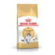 Sac de nourriture sèche pour chat Royal Canin Adult Norwegian Forest Cat présentant un chat gris à l'avant, avec un design doré et blanc.