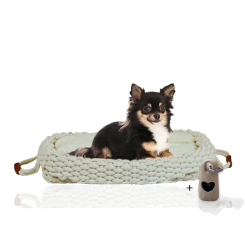 Ein schwarzer und brauner Chihuahua ruht auf einem gemütlichen, gestrickten Haustierbett mit einem hellen Kissen, begleitet von einem kleinen beigen Spielzeug mit einem Herz-Ausschnitt.
