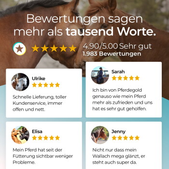 Zwei Pferde mit überlagertem Text ‚Bewertungen sagen mehr als tausend Worte.‘, Bewertung 4,90/5,00 Sehr gut, 1.983 Bewertungen.