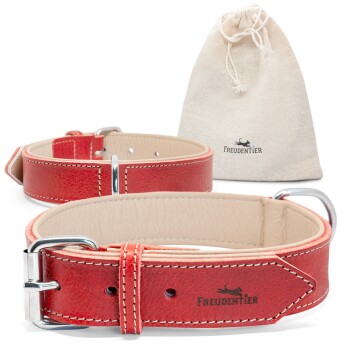 gefüttertes Halsband aus Leder S