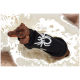Brauner Dackel trägt einen schwarzen Pullover mit weißem Spinnenmotiv auf einem weißen Kunstfellteppich und blickt nach oben.