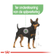 Illustratie van een zwart en tan hond met de focus op zijn spijsverteringsondersteuning, met de tekst 'Ter ondersteuning van de spijsvertering.'