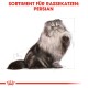 Illustration einer Perserkatze mit einem flauschigen Fell, die aufrecht sitzt und eine Pfote hebt, mit dem Text 'SORTIMENT FÜR RASSEKATZEN: PERSIAN' darüber.