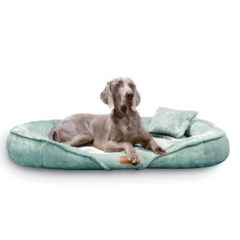 Ein grauer Weimaraner-Hund entspannt sich auf einem weichen, mintgrünen Haustierbett mit einem kleinen passenden Kissen.