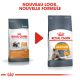 Comparaison de l'emballage de nourriture pour chats Royal Canin Hair & Skin, présentant un nouveau design et des promesses de résultats visibles en 21 jours.