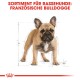 Illustration eines Französischen Bulldogs mit Maßlinien, begleitet von dem Text "SORTIMENT FÜR RASSEHUNDE: FRANZÖSISCHE BULLDOGGE."