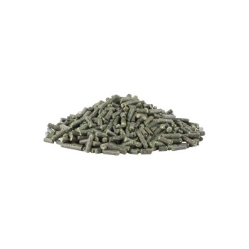 Ein Haufen grüner Haustierfutterpellets, die kleinen Stäbchen ähneln, auf einem weißen Hintergrund.