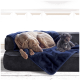 Ein grauer Weimaraner-Hund schläft auf einer marineblauen Decke neben einem kleinen schwarzen Pudel, der aufrecht auf einem Sofa sitzt.