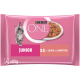 Emballage de nourriture pour chat Purina ONE Junior mettant en vedette un chaton joueur, avec un texte indiquant 'X4 mit Lachs und Karotten' et '4 x 85g'.