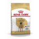 Sac de nourriture pour chiens Royal Canin Adult Great Dane avec une illustration de Grand Danois, avec un texte mettant en avant la nutrition spécifique à la race.