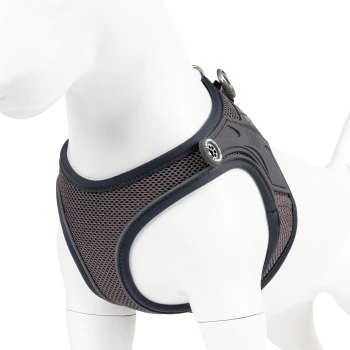 Graues Netz-Hundegeschirr mit schwarzem Rand an weißer Mannequin, mit Metallringen und Pfotenknopf.
