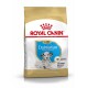 Royal Canin Dalmatiner Welpenfutterbeutel, geeignet für Welpen bis zu 15 Monaten, mit einer Illustration eines Dalmatiner-Welpen.