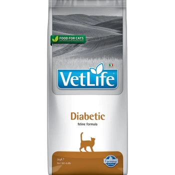 VetLife Diabetiker Katzenfutterbeutel, 2 kg, mit einer Silhouette einer Katze und dem Text "Futter für Katzen" in grün.
