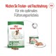 Royal Canin Hundefutterverpackung für kleine erwachsene Hunde (bis zu 10 kg), die eine Mischung aus Trocken- und Nassfutter für optimale Ernährung vorschlägt.
