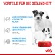 Zwei Welpen neben einer roten Schüssel mit Royal Canin Hundefutter, die Vorteile wie maßgeschmackliche Anpassung, Immunsupport und Verdauungsgesundheit zeigt.